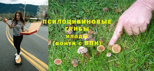 мдпв Пересвет
