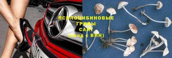 винт Переславль-Залесский