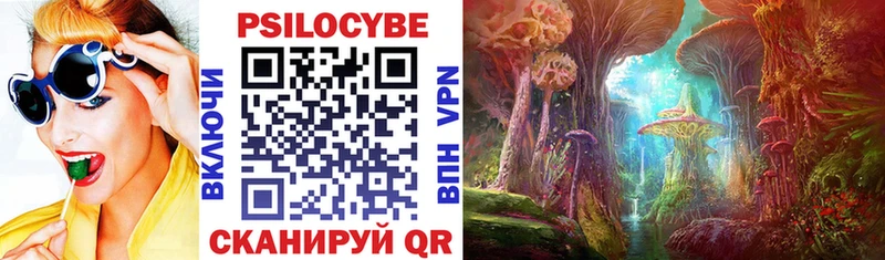 цена   Кстово  Галлюциногенные грибы Psilocybine cubensis 