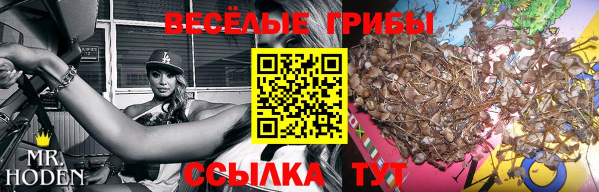 Псилоцибиновые грибы Magic Shrooms  Кстово 